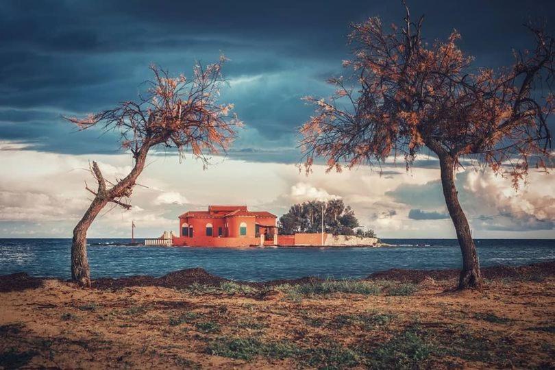 Mediterraneo Oro مارزاميمي المظهر الخارجي الصورة